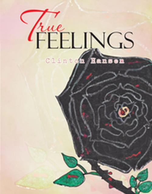 Cover of the book True Feelings by Clinton Hansen, Xlibris US