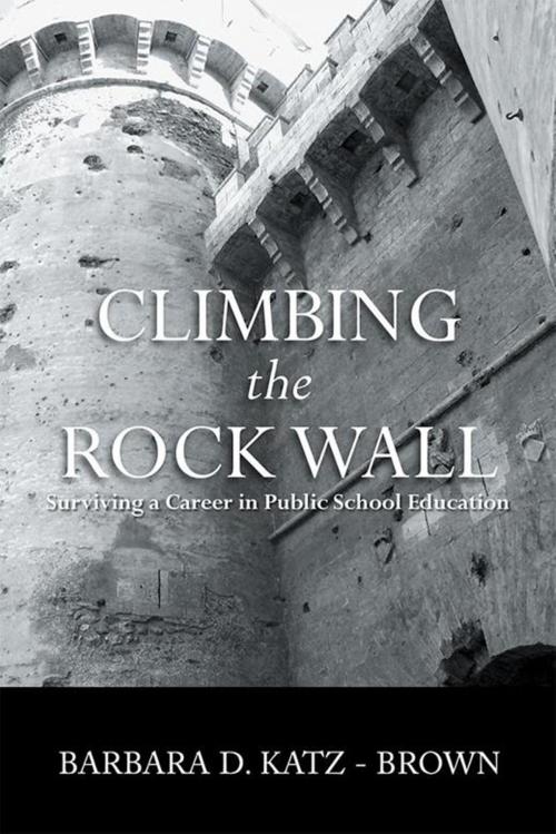 Cover of the book Climbing the Rock Wall by Barbara Katz-Brown, Xlibris US