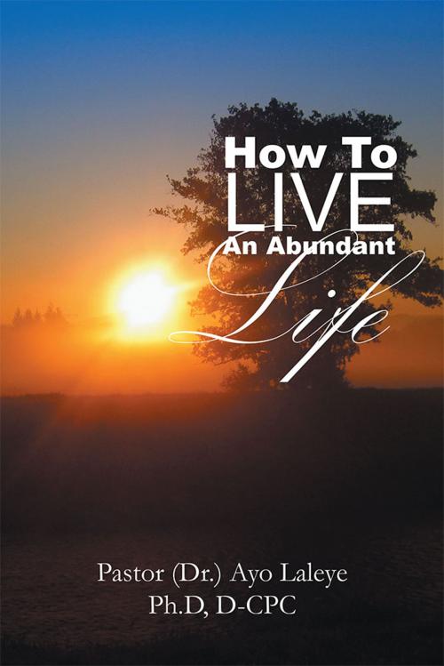 Cover of the book How to Live an Abundant Life by Pastor Dr. Ayo Laleye Ph.D D-CPC, Xlibris US