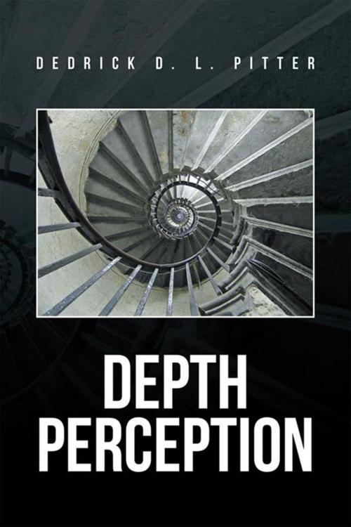 Cover of the book Depth Perception by Dedrick D.L. Pitter, Xlibris US