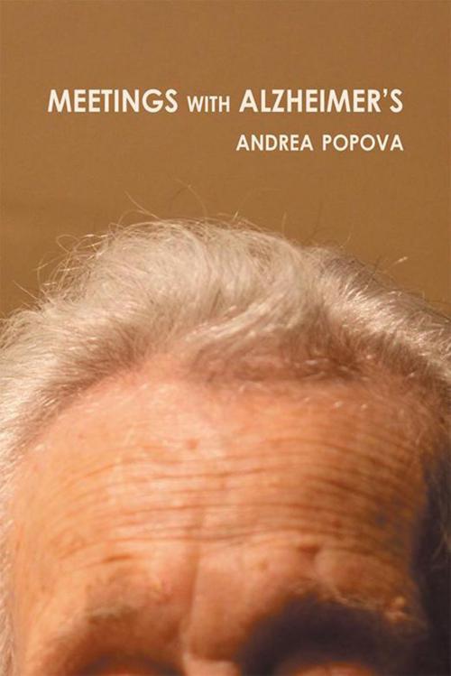 Cover of the book Meetings with Alzheimer's by Andrea Popova, Xlibris US