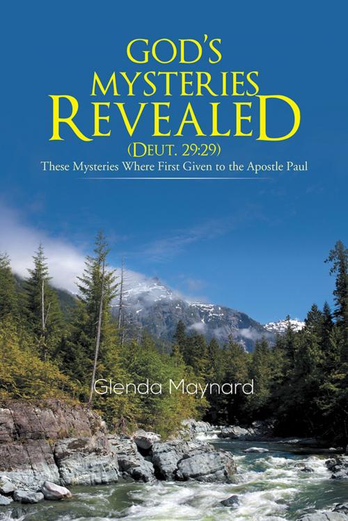 Cover of the book God's Mysteries Revealed (Deut.29:29) by Glenda Maynard, Trafford Publishing