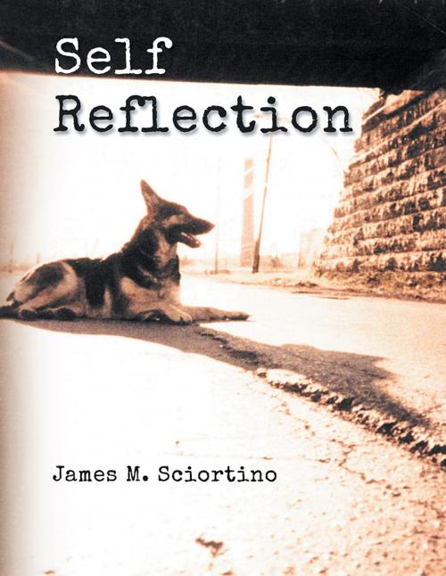 Cover of the book Self Reflection by James M. Sciortino, Trafford Publishing