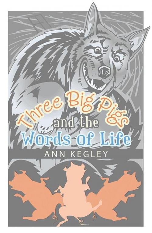 Cover of the book Three Big Pigs and the Words of Life by Ann Kegley, WestBow Press