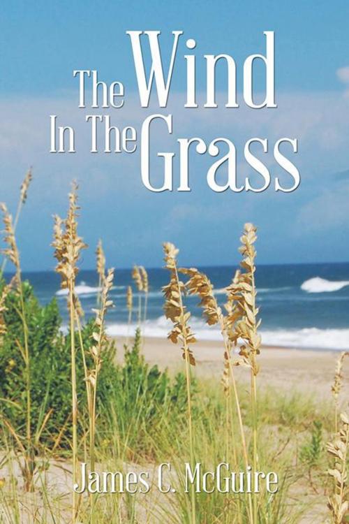 Cover of the book The Wind in the Grass by James C. McGuire, iUniverse