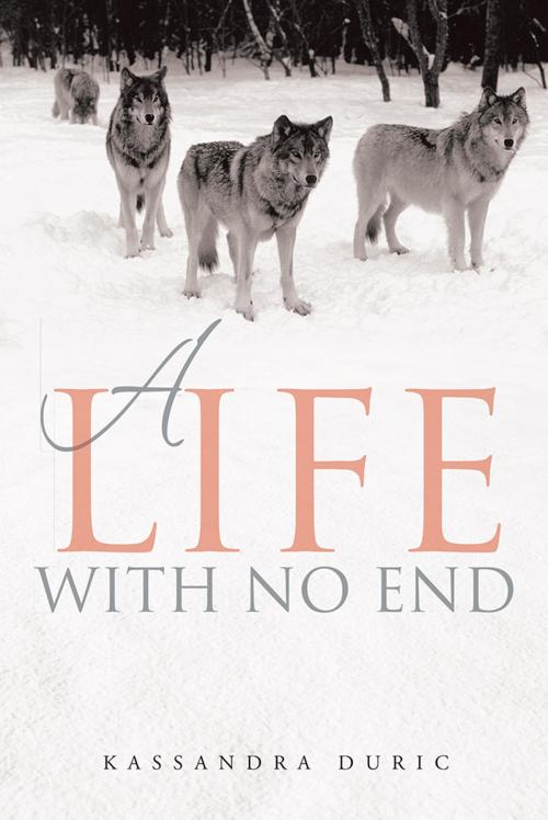 Cover of the book A Life with No End by Kassandra Duric, iUniverse