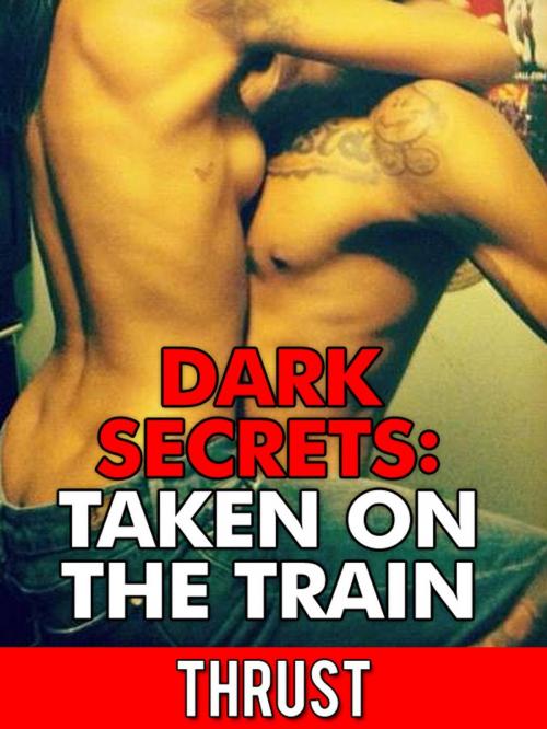 Cover of the book Dark Secrets: Taken on The Train (Public Stranger Sex, Extreme Anal Sex, Taboo Erotica) by Thrust, Thrust
