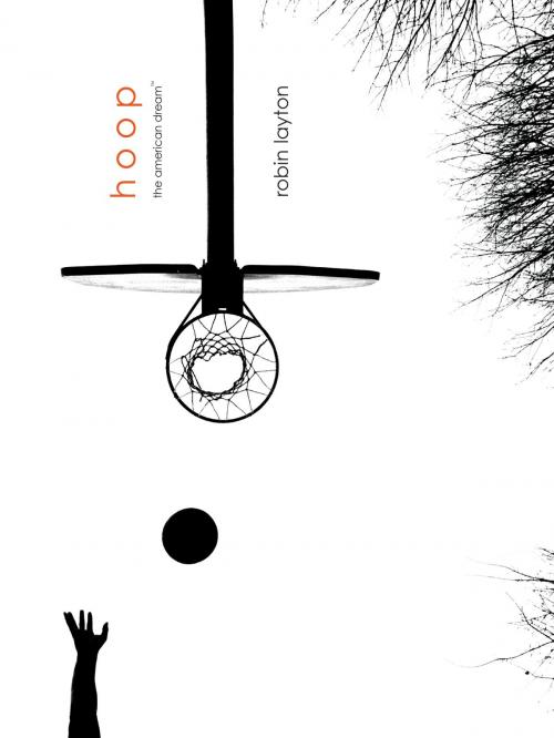 Cover of the book hoop by Robin Layton, powerHouse Books