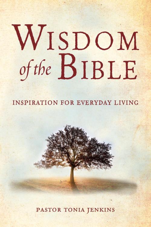 Cover of the book Wisdom of the Bible by Tonia Jenkins, Hatherleigh Press