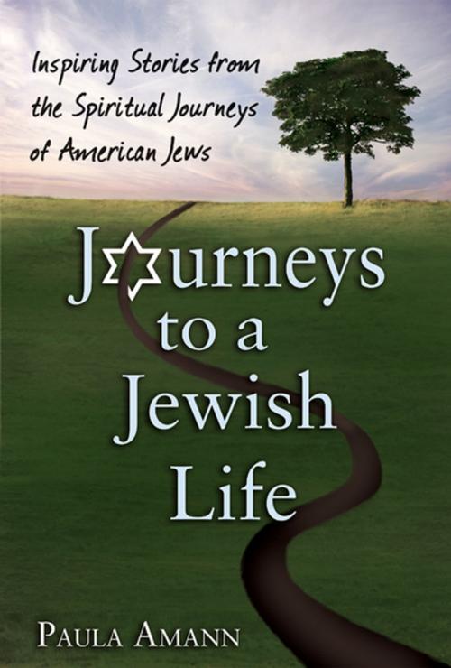 Cover of the book Journeys to a Jewish Life by Paula Amann, Turner Publishing Company