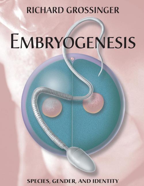 Cover of the book Embryogenesis by Richard Grossinger, North Atlantic Books