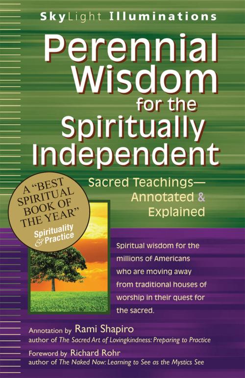 Cover of the book Perennial Wisdom for the Spiritually Independent by Rabbi Rami Shapiro, Turner Publishing Company