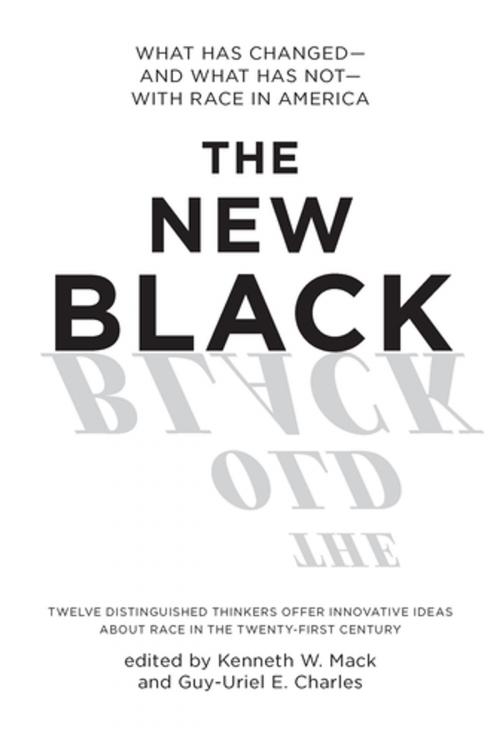 Cover of the book The New Black by , The New Press