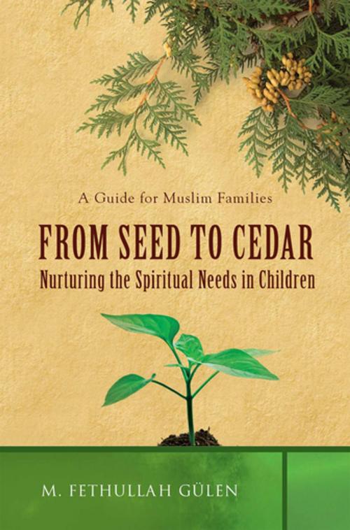 Cover of the book From Seed to Cedar by M. Fethullah Gülen, Tughra Books