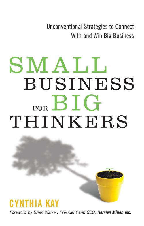 Cover of the book Small Business for Big Thinkers by Cynthia Kay, Red Wheel Weiser