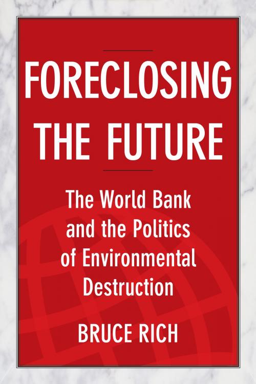 Cover of the book Foreclosing the Future by Bruce Rich, Island Press