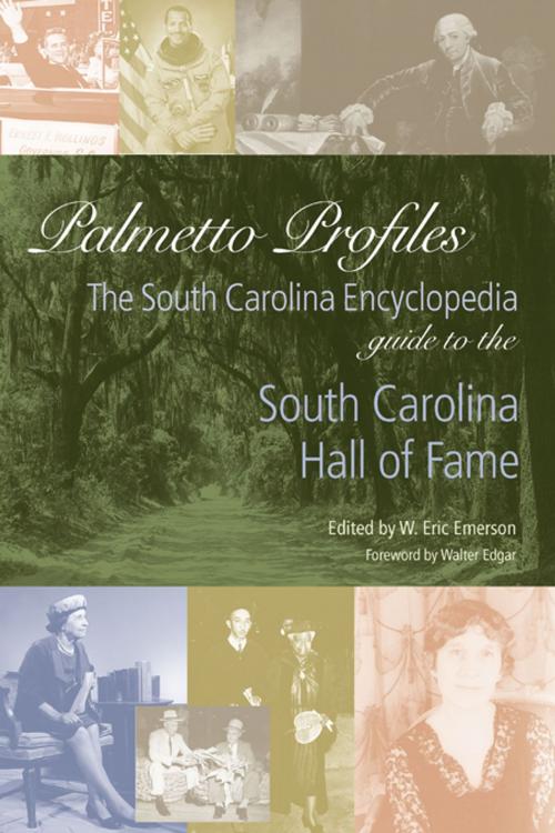 Cover of the book Palmetto Profiles by , University of South Carolina Press