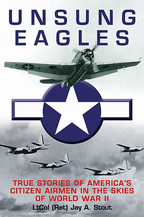 Cover of the book Unsung Eagles by Jay Stout, Casemate