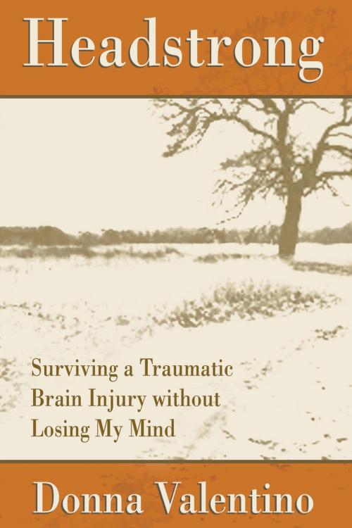 Cover of the book Headstrong by Donna Valentino, Brown Books Publishing Group