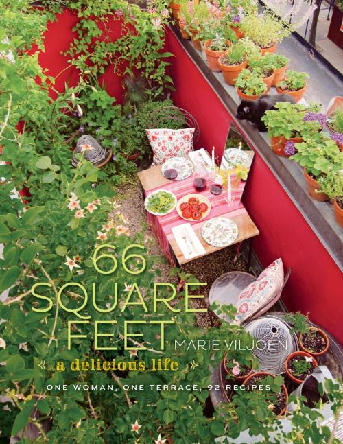 Cover of the book 66 Square Feet by Marie Viljoen, ABRAMS