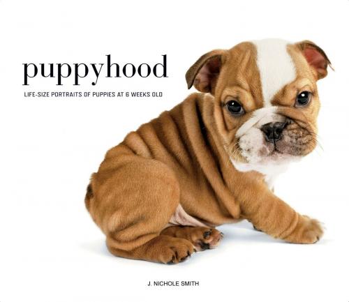 Cover of the book Puppyhood by J. Nichole Smith, ABRAMS
