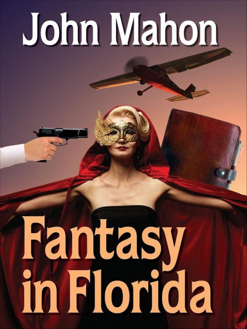 Cover of the book Fantasy in Florida by John Mahon, eNet Press Inc.