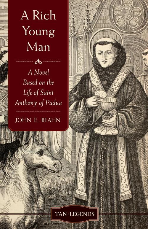 Cover of the book A Rich Young Man by John Edward Beahn, TAN Books
