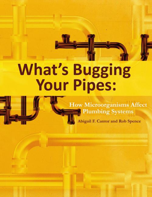 Cover of the book What's Bugging Your Pipes by Abigail F. Cantor, Rob Spence, BookBaby
