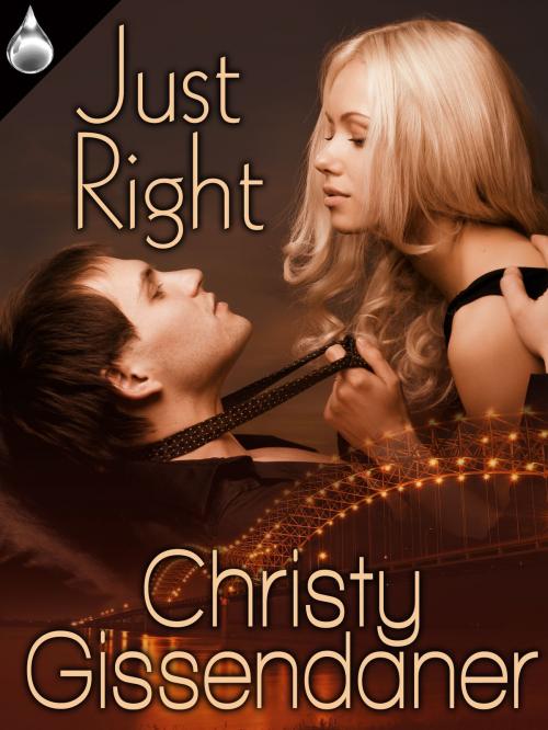Cover of the book Just Right by Christy Gissendaner, Liquid Silver Books