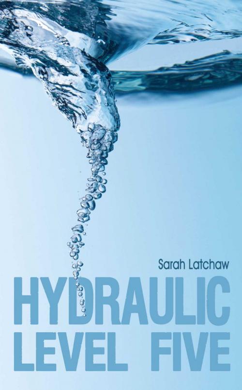 Cover of the book Hydraulic Level 5 by Sarah Latchaw, Omnific Publishing