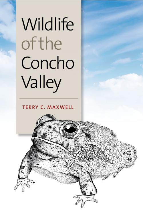 Cover of the book Wildlife of the Concho Valley by Terry C. Maxwell, Texas A&M University Press