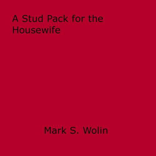 Cover of the book A Stud Pack for the Housewife by Mark S. Wolin, Disruptive Publishing
