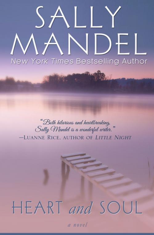 Cover of the book Heart and Soul by Sally Mandel, Diversion Books