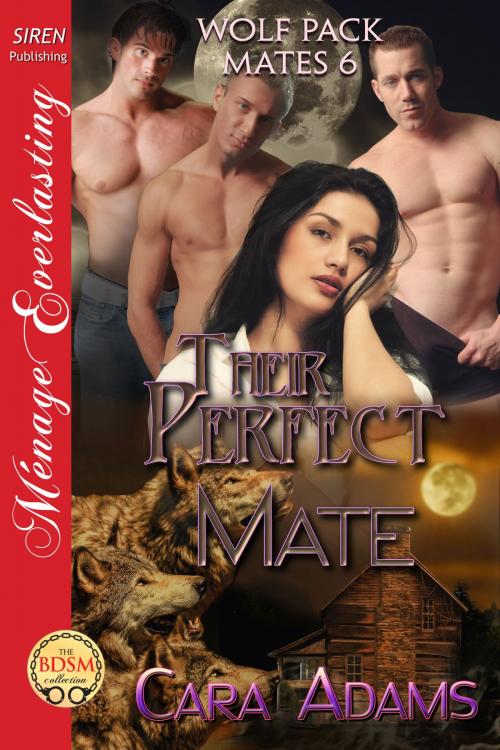 Cover of the book Their Perfect Mate by Cara Adams, Siren-BookStrand