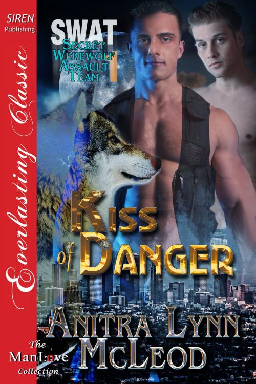 Cover of the book Kiss of Danger by Anitra Lynn McLeod, Siren-BookStrand