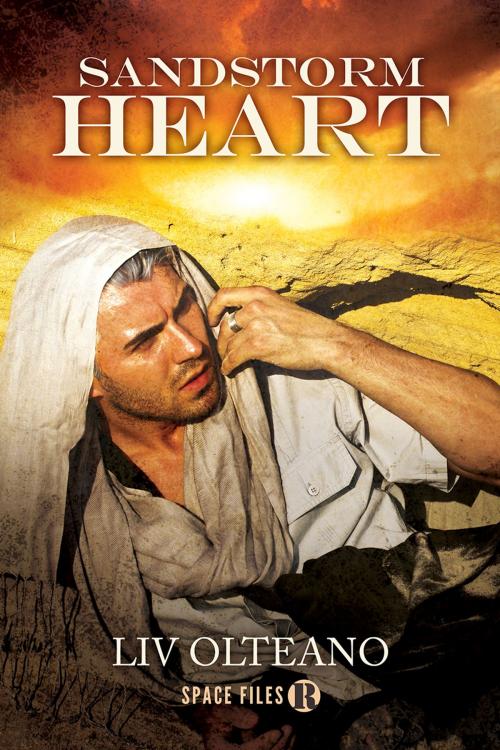 Cover of the book Sandstorm Heart by Liv Olteano, Dreamspinner Press