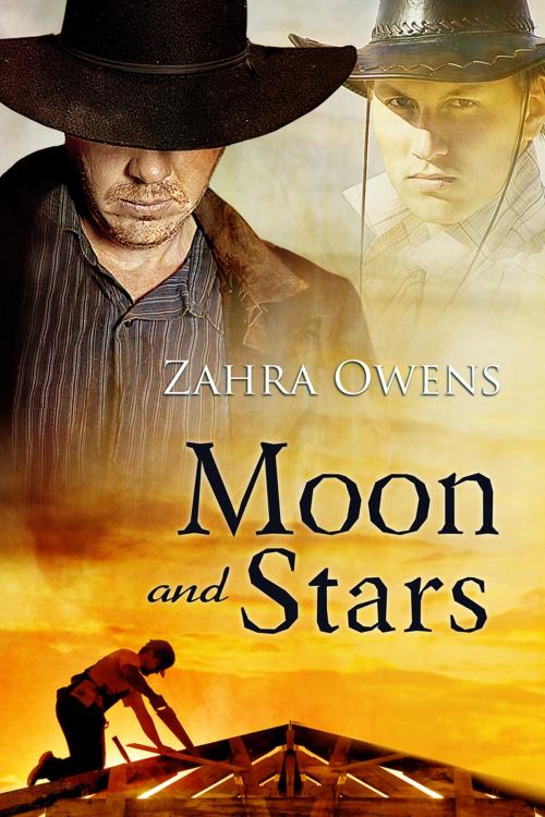 Cover of the book Moon and Stars by Zahra Owens, Dreamspinner Press