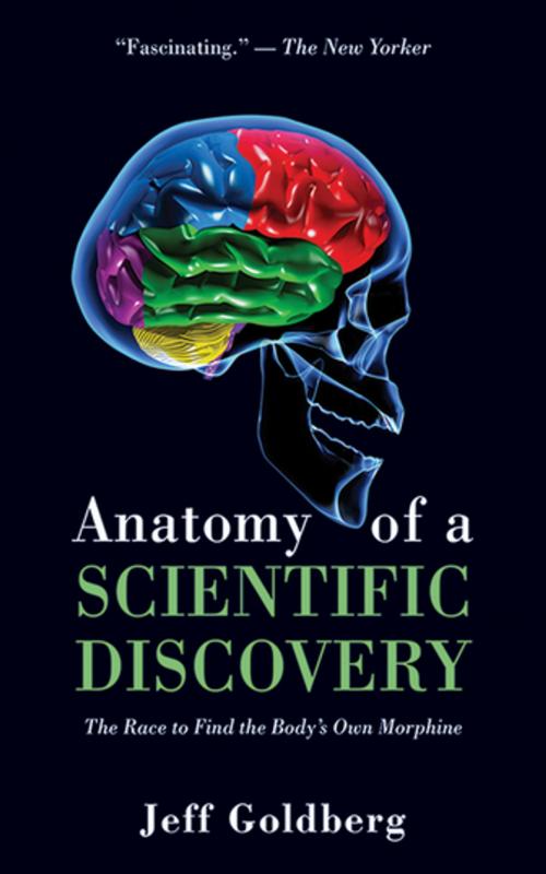 Cover of the book Anatomy of a Scientific Discovery by Jeff Goldberg, Skyhorse Publishing