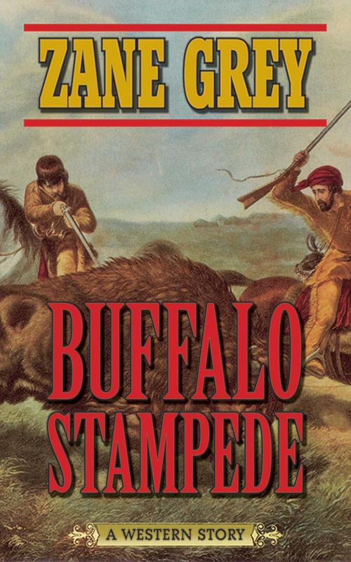 Cover of the book Buffalo Stampede by Zane Grey, Skyhorse