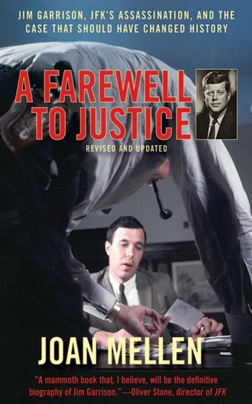 Cover of the book A Farewell to Justice by Joan Mellen, Skyhorse Publishing