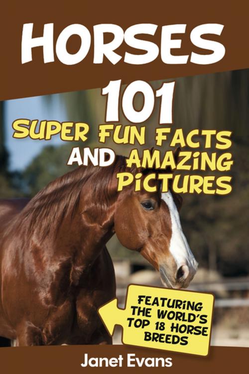 Cover of the book Horses: 101 Super Fun Facts and Amazing Pictures (Featuring The World's Top 18 Horse Breeds) by Janet Evans, Speedy Publishing LLC