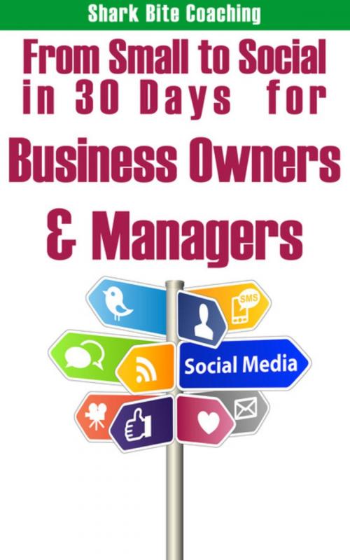 Cover of the book From Small to Social in 30 Days for Business Owners & Managers by Cassandra Fenyk, Fenyk Enterprises LLC