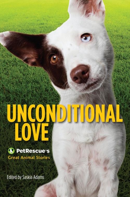 Cover of the book Unconditional Love: PetRescue's Great Animal Stories by Saskia Adams, Penguin Random House Australia
