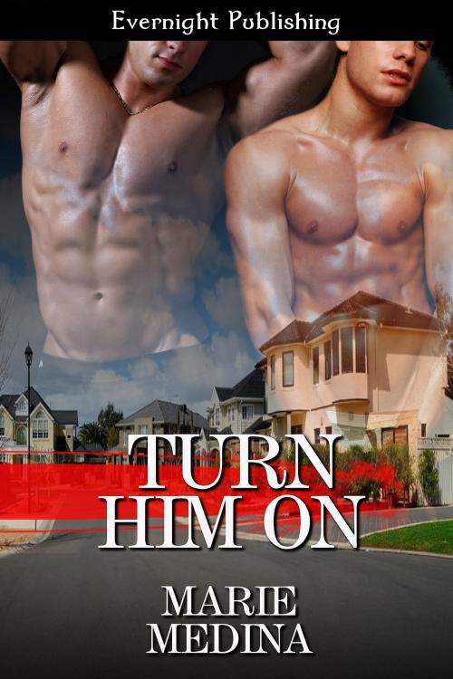 Cover of the book Turn Him On by Marie Medina, Evernight Publishing