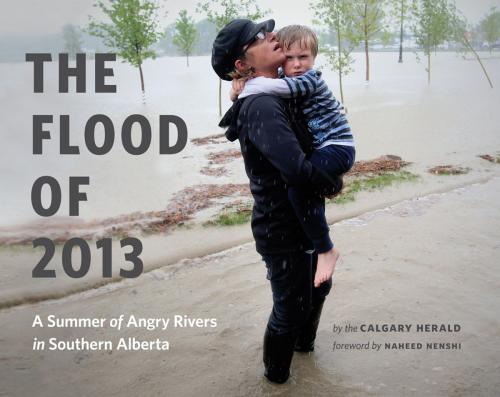 Cover of the book The Flood of 2013 by Calgary Herald, GREYSTONE BOOKS LTD