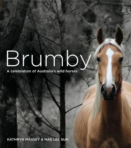 Cover of the book Brumby by Massey, Kathryn, Sun, Mae Lee, Exisle Publishing