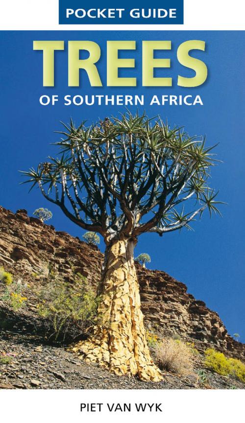 Cover of the book Pocket Guide to Trees of Southern Africa by Piet van Wyk, Penguin Random House South Africa