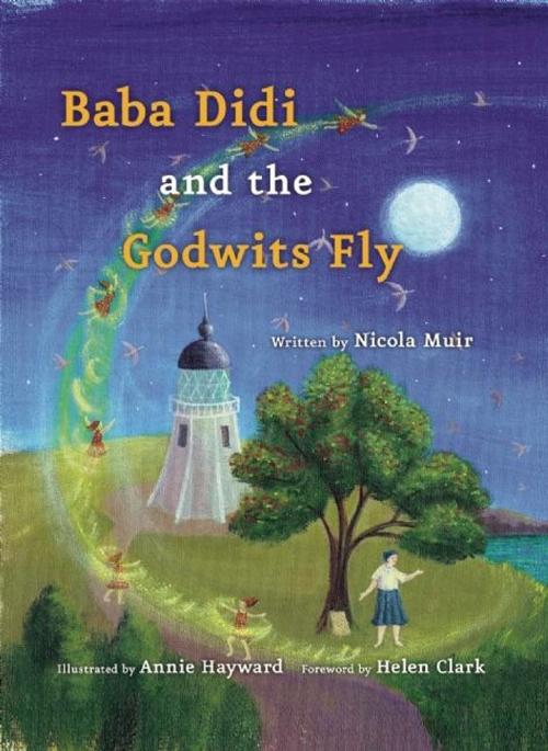 Cover of the book Baba Didi and the Godwits Fly by Nicola Muir, New Internationalist