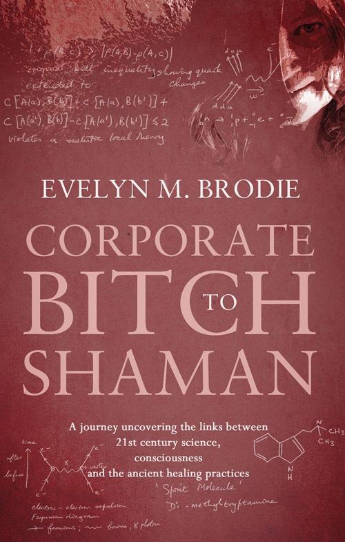 Cover of the book Corporate Bitch to Shaman by Evelyn Brodie, Troubador Publishing Ltd