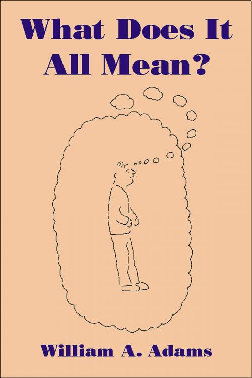 Cover of the book What Does It All Mean? by William A. Adams, Andrews UK
